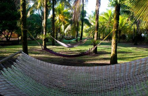 Tortuguero Cabin | Turtle Beach Lodge