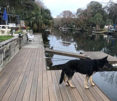 Weeki Wachee Gardens House | Turtle Cove on Weeki Wachee Florida