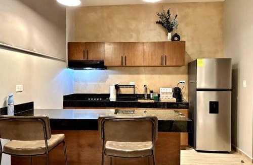 Merida Municipality Apartment | Tuscania Modern Luxe - Temozon Apt on First Floor