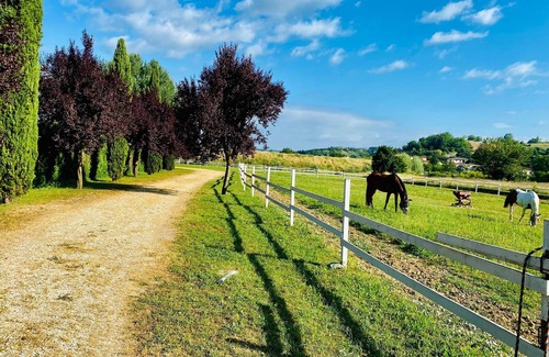 Figline e Incisa Valdarno Villa | Tuscany Garden Villa