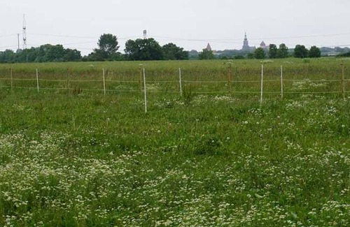 Hinrichshagen Apartment | Twin Pine - Guest Eva-Maria and Reinhard K����hler