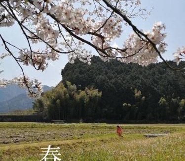 Tamba House | Twinkle Villa