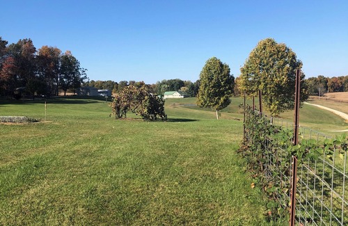 Taswell Cabin | Two Furnished cabins minutes from Patoka Lake and French Lick. Book 1 or 2