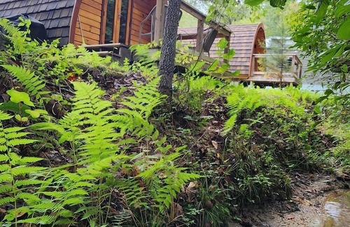 Mill Spring Apartment | Two person Pod on the creek, Deck, private firepit, full bathroom, Kitchenette, Sleeps 2.