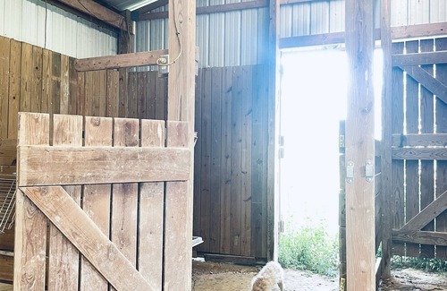 White House House | Two stable barn plus 2.5 acres