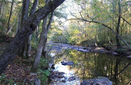 Albertville House | Two Tree Retreet! A Bougie Getaway On The Creek