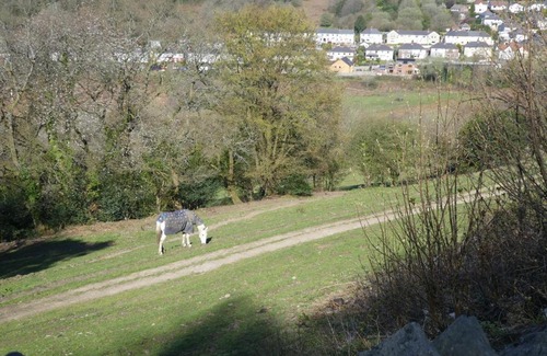 Ynysddu House | Ty Coppi Holiday Cottage