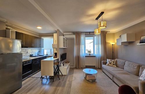 Tirgu Mures Apartment | Ultracentral Apartment BBs Apartment