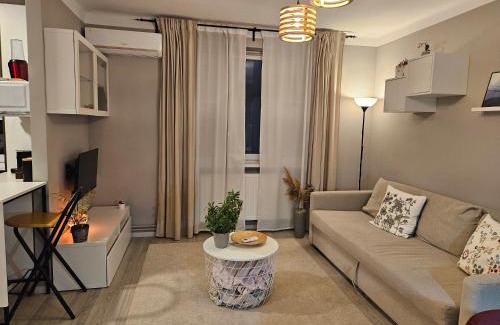 Tirgu Mures Apartment | Ultracentral Apartment BBs Apartment