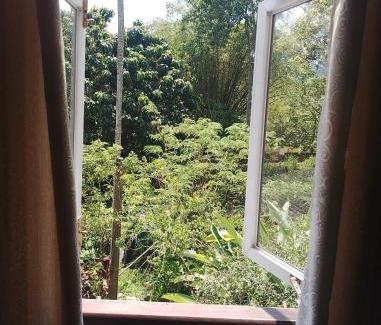 Unawatuna Cabin | Unawatuna Backpacker Lodge