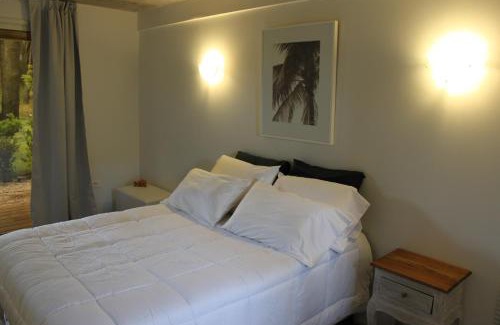 Chihuahua Hotel | Undarius Hotel (exclusively gay men)