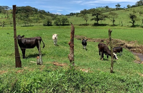 Angeles Sur Cabin | UNDER CONSTRUCTION FOR UPGRADES AVAILABLE NEXT YEAR