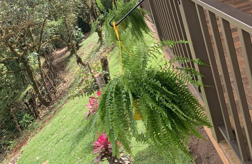 Angeles Sur Cabin | UNDER CONSTRUCTION FOR UPGRADES AVAILABLE NEXT YEAR