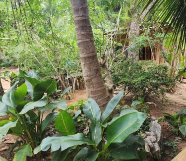 Sigiriya Bed & Breakfast | Undiya The Neighborhood Sigiriya