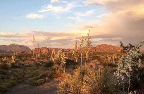 El Paso Other | Unique Yurt Accommodation for a Romantic Getaway in El Paso, Texas