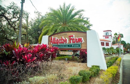 St. Augustine Beach House | Unit 6302 - Ocean & Racquet Resort