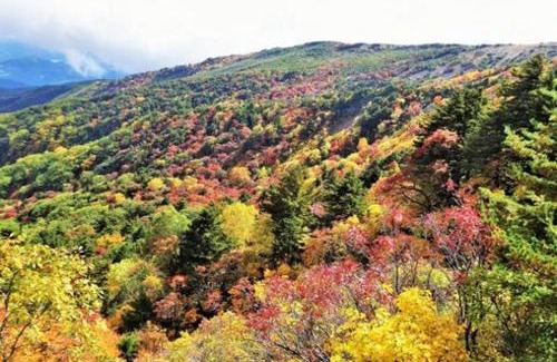 Kitashiobara Hotel | Urabandai Cranes