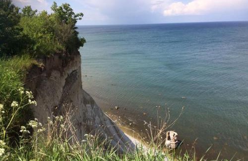 Bergen auf Ruegen Apartment | Urlaub unter Reet