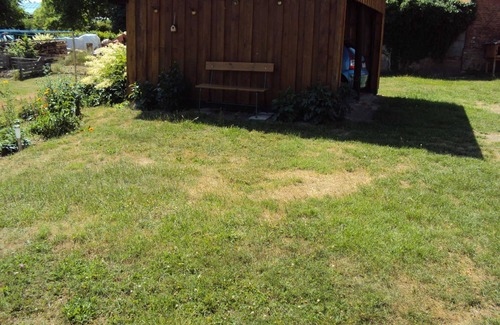 Priepert Apartment | Vacation apartment Am Priepertsee (89539) - Holiday apartment Am Priepertsee