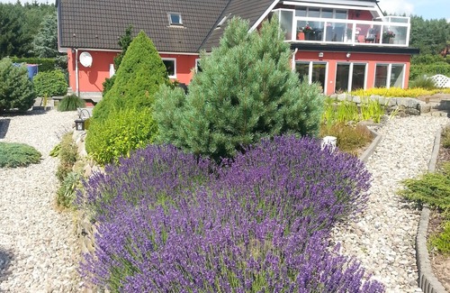 Sehlen Apartment | Vacation apartment/apartment for 2 guests with 45m² in Sehlen (76380)