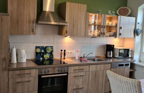 Emmelsbuell-Horsbuell Condo | Vacation home Hemenswarft directly on the North Sea with sea view - Apartment Langeness