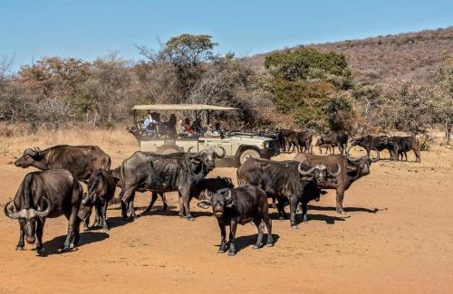Vaalwater Cabin | Valamanzi Lodge in Nyati Wilderness