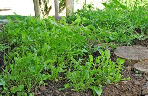 Lavalleja Cabin | Valle del Hilo de la Vida