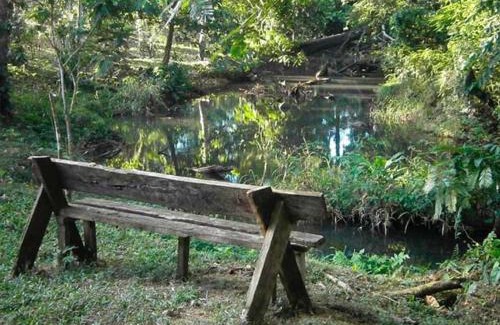 Sarapiqui Cabin | Vanilla Jungle Lodge - Rainforest Waterfall Garden