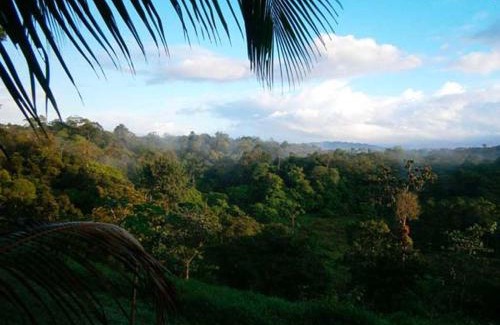 Sarapiqui Cabin | Vanilla Jungle Lodge - Rainforest Waterfall Garden