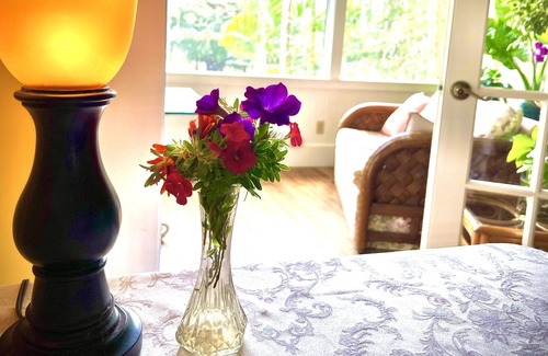 Hawi Bed & Breakfast | Vegan Palace Suite @ Aloha Boutique Hotel / Alchohol-free, smoke-free