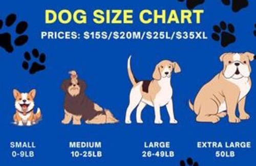 Paradise House | Vegas Unit A Charm to Remember Love of Vegas