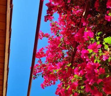 Mendoza City Center House | VEINTICINCO Casa de Huéspedes