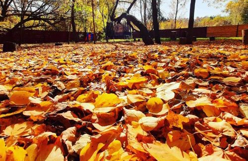 Vorzelʼ Hotel | Veniki-Club