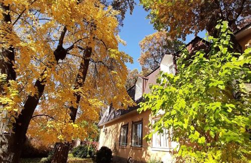 Vorzelʼ Hotel | Veniki-Club