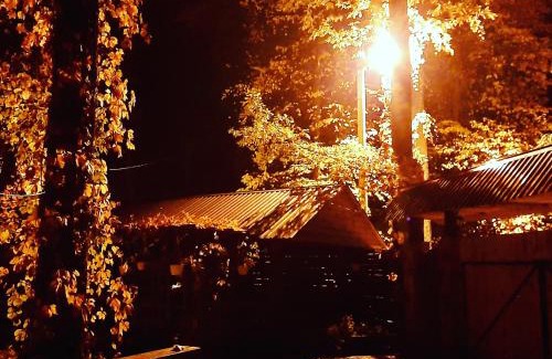 Vorzelʼ Hotel | Veniki-Club