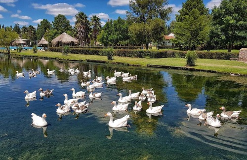 Termas del Dayman Apartment | Verde Termal