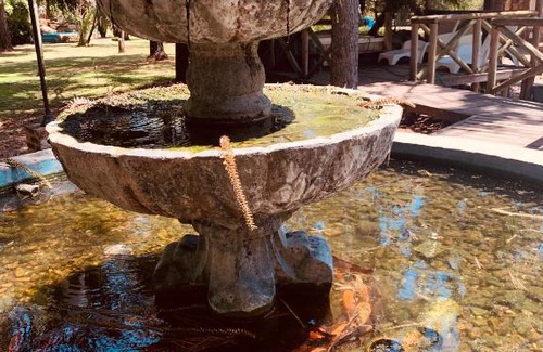 Termas del Dayman Apartment | Verde Termal