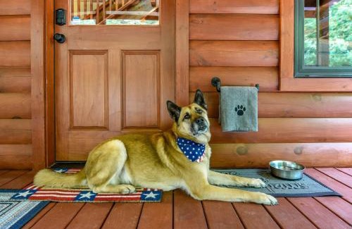 Pigeon Forge House | Veteran Host Pets Allowed Sleeps 4 No Minimum Nights