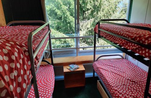 Marilleva Apartment | Vetrate sul bosco