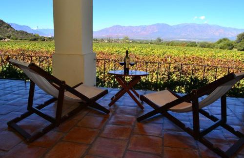 Cafayate Hotel | Viñas De Cafayate Wine Resort