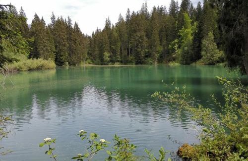 Flims Apartment | Via stenna