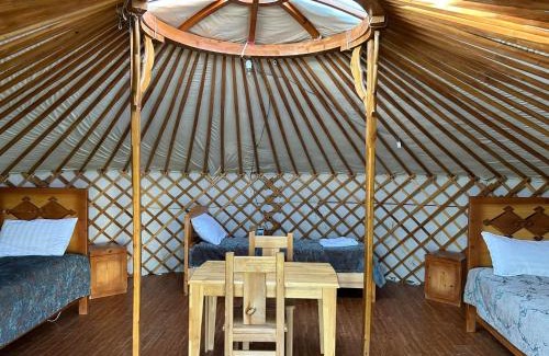 Mongolia Cabin | ViaVia Harganat Lodge