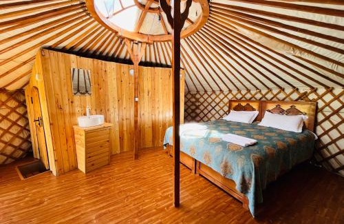 Mongolia Cabin | ViaVia Harganat Lodge