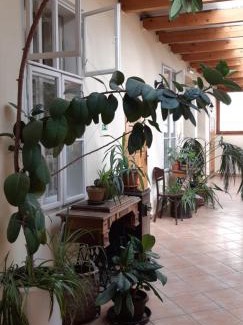 Zvolen House | Victoria - Penzion & Restaurant
