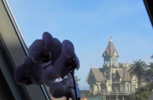 Downtown House | Victorian Mansion at Carter House Inns