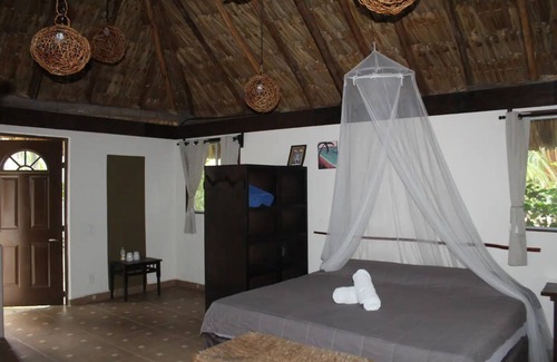 Akumal Resort | Vida Jungle Resort