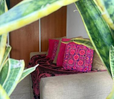 Partido de Ramallo Apartment | Viejo Stud