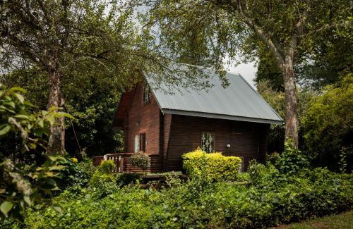 Haenertsburg Bed & Breakfast | Viewpoint Estate Accommodation