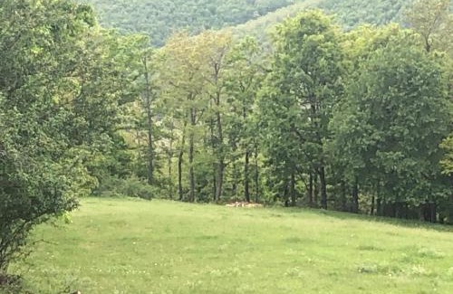 Bresalc Other | Views&Camp incredible performance