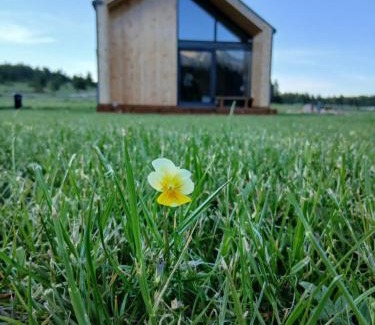 Blidinje Nature Park Ski Chalet | Vikendica Planinski san Blidinje